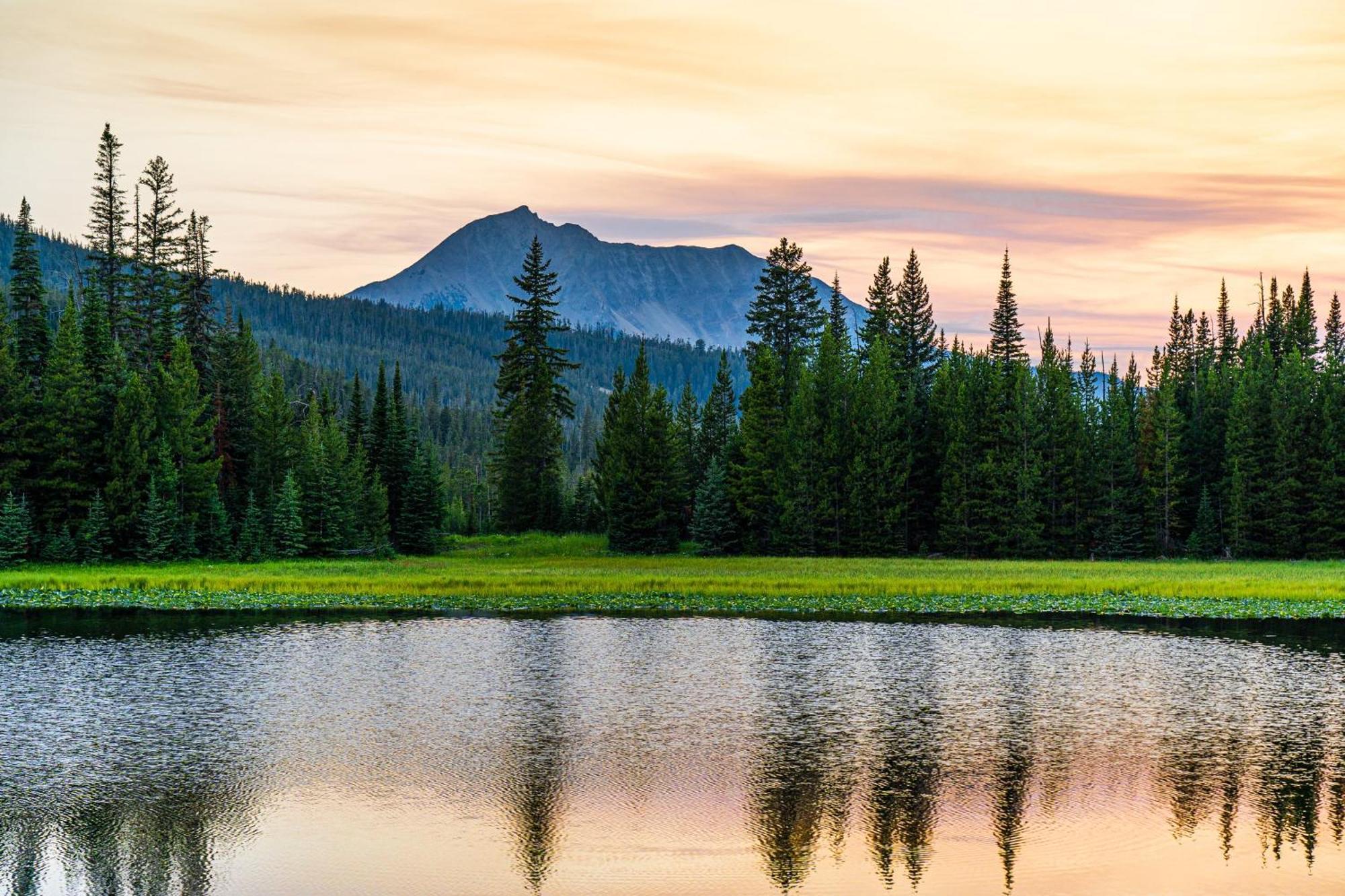 My Yellowstone Retreat Island Park Pokoj fotografie